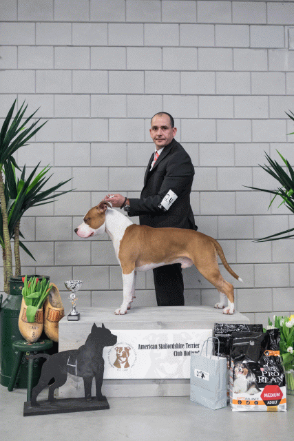 36A6183 38698772842 O