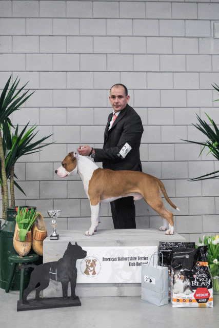 36A6182 38698773452 O