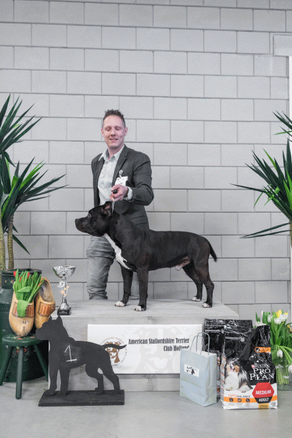 36A6186 24857867928 O