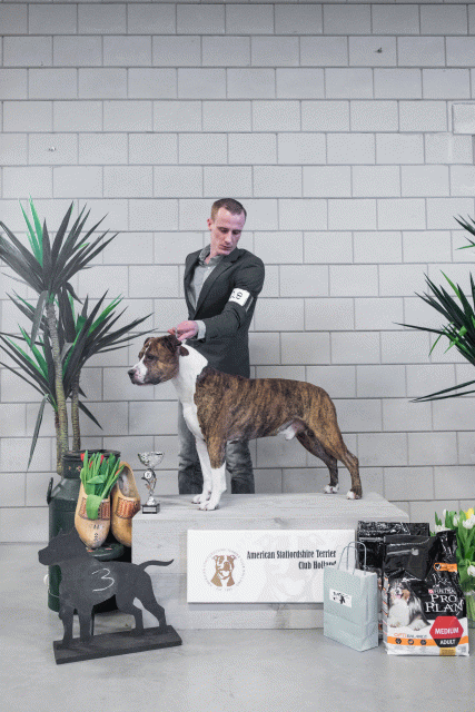 36A6185 38698771332 O