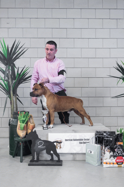 36A6188 26954923989 O