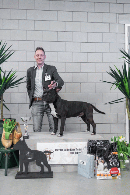 36A6187 38698769922 O