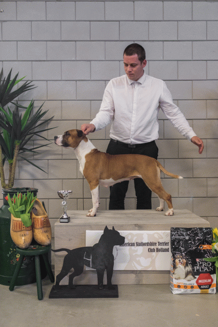 36A6310 37843057805 O