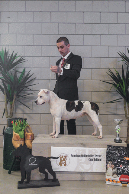 36A6302 26954774979 O