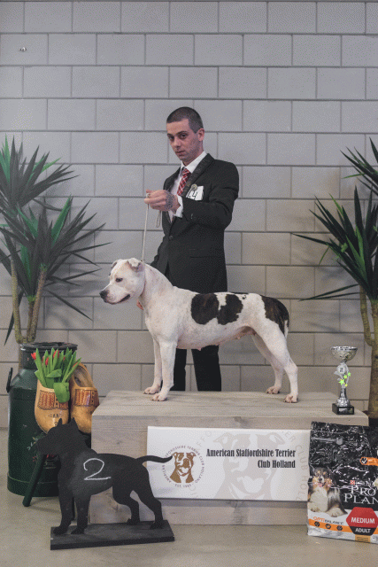 36A6303 37843059295 O