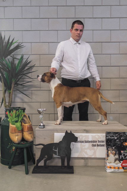 36A6309 37843058395 O