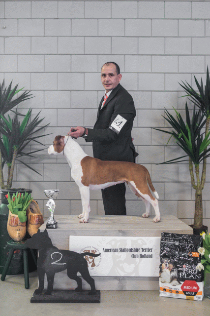 36A6301 23865644857 O