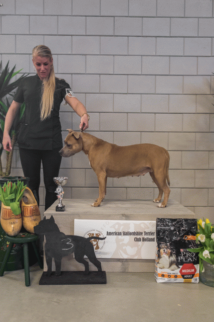 36A6314 38698515302 O