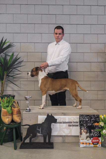 36A6312 38013495574 O