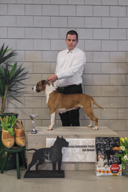 36A6313 37843056555 O