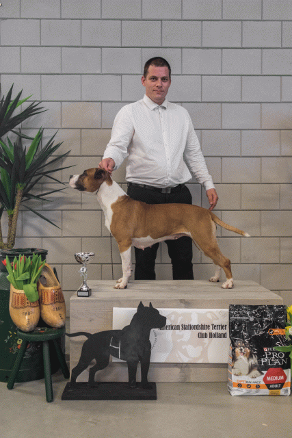 36A6311 23865642557 O