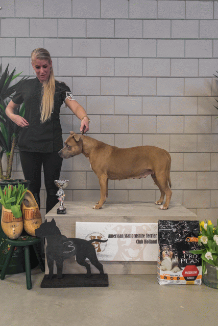 36A6315 37843055115 O