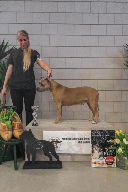 36A6316 37843054515 O