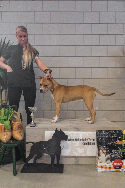 36A6317 23865638697 O