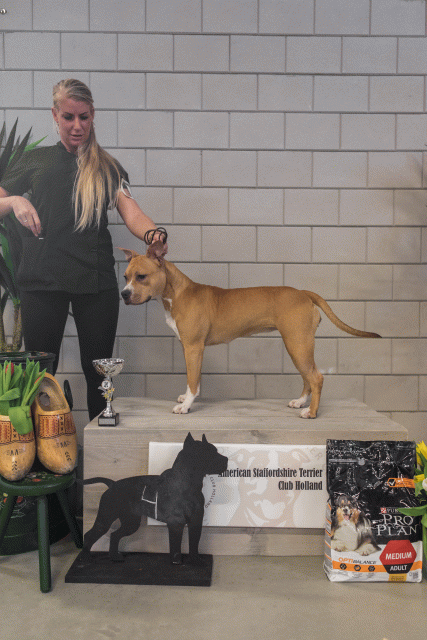 36A6319 23865638327 O