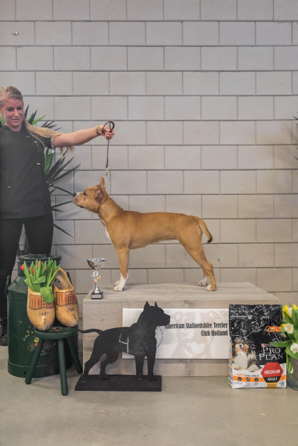 36A6324 23865634937 O