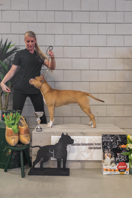 36A6322 23865637747 O