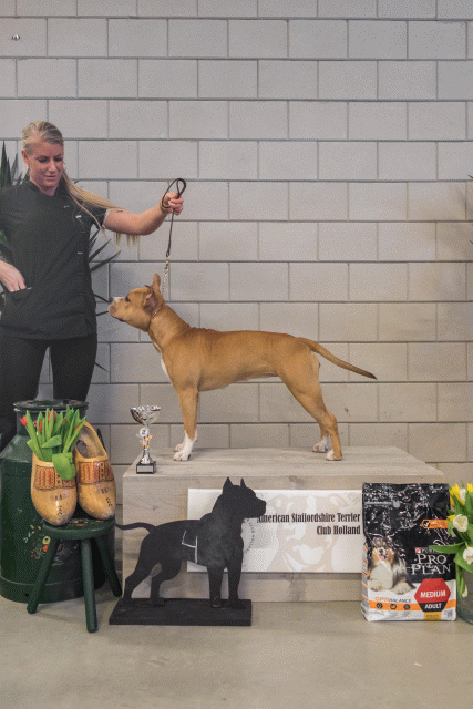 36A6323 23865636857 O