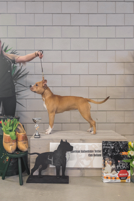 36A6326 23865633827 O