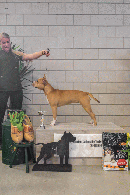 36A6325 38730678981 O