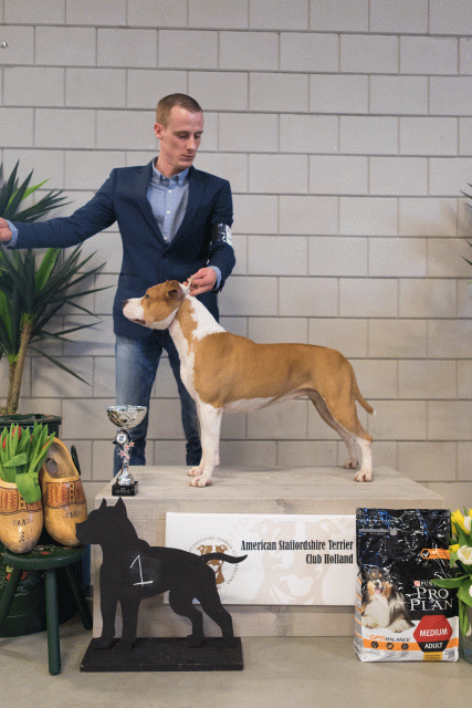 36A6328 38730678111 O