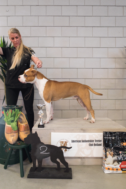 36A6336 37843048525 O