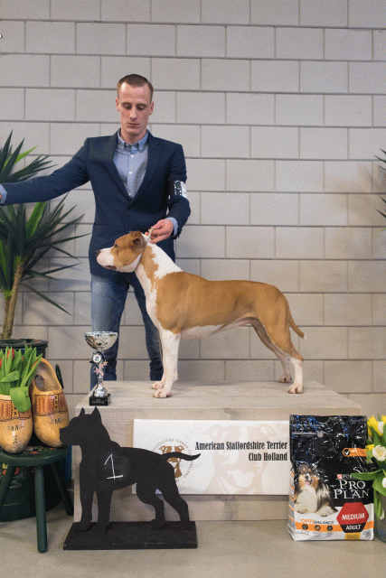 36A6329 23865632987 O