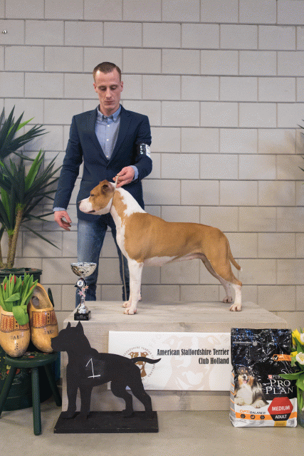 36A6332 24857633178 O