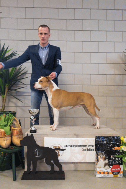 36A6330 24857634368 O