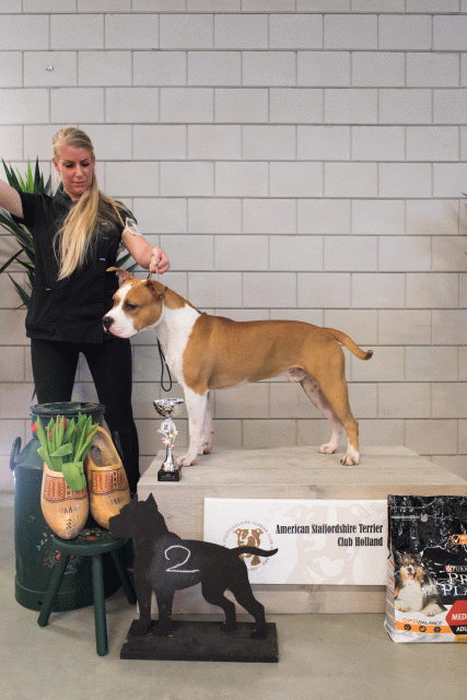 36A6337 24857631568 O