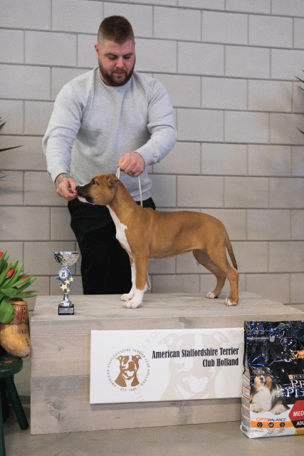 36A6339 24857628798 O