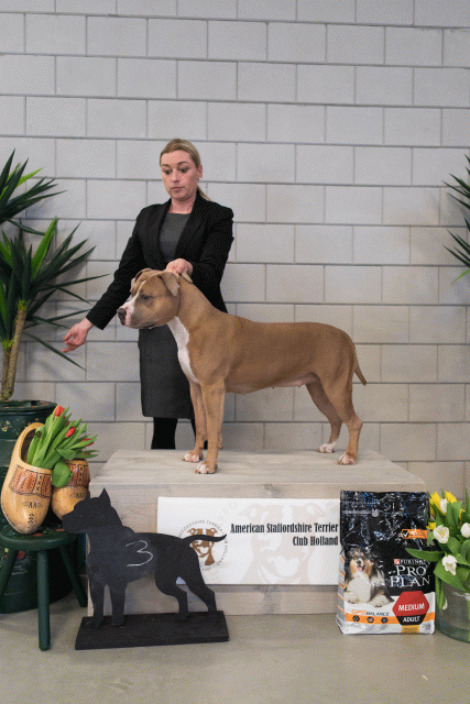 36A6343 24857627488 O