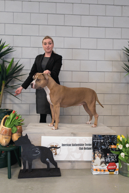 36A6344 37843046525 O