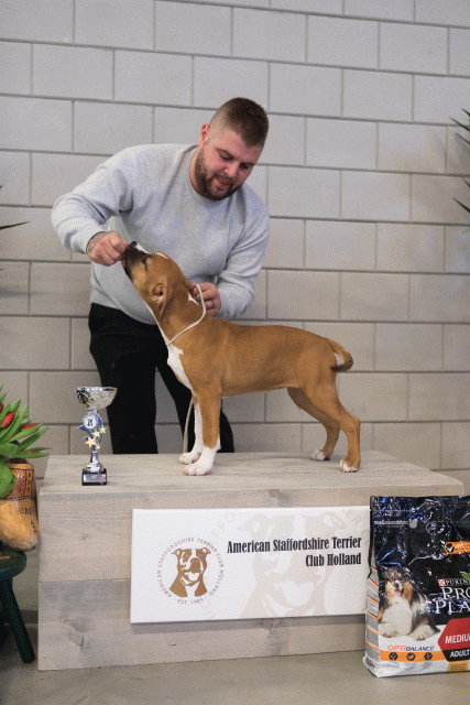 36A6338 37843048085 O