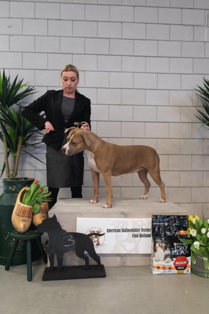 36A6345 24857626118 O