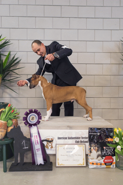 36A6351 26954757519 O