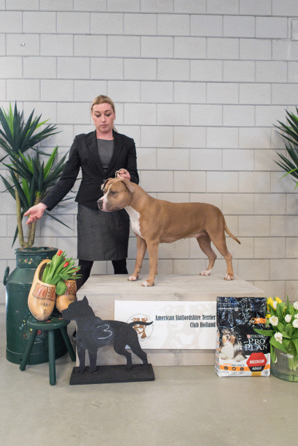 36A6347 37843045735 O