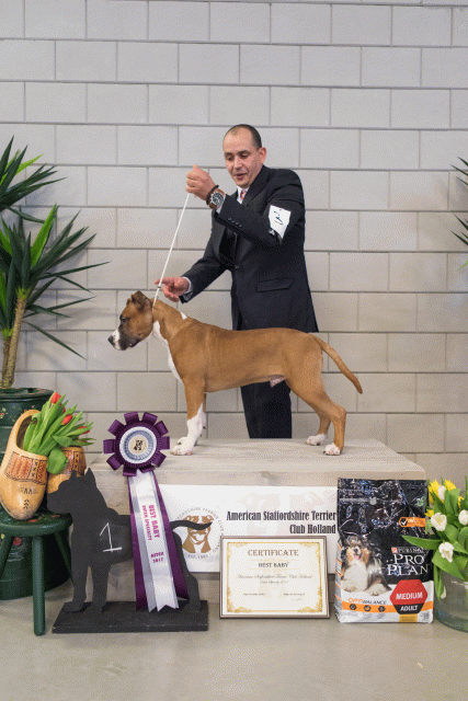 36A6355 38698497732 O