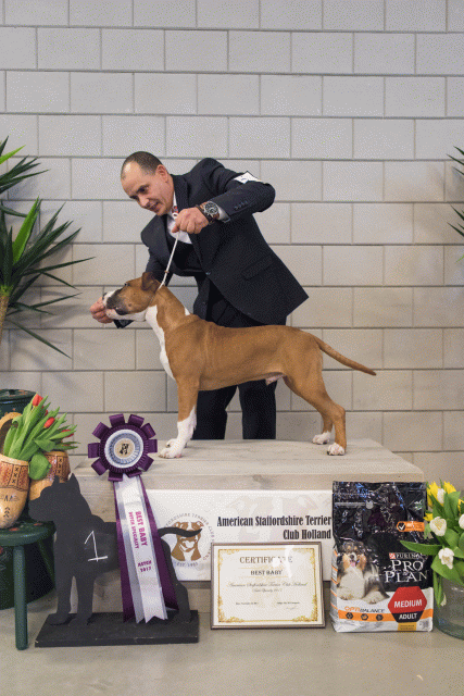 36A6350 37843045385 O