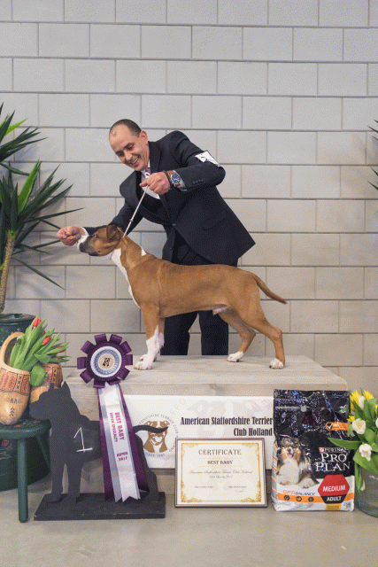 36A6353 26954755639 O