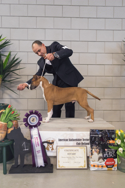 36A6352 37843045005 O