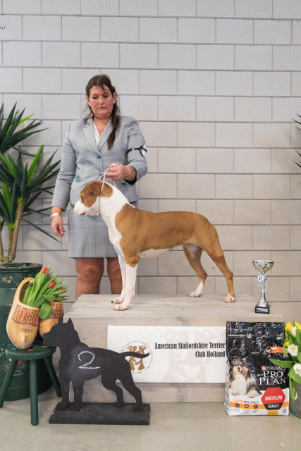 36A6360 26954751509 O