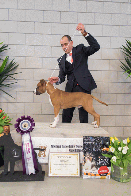 36A6357 38698494662 O