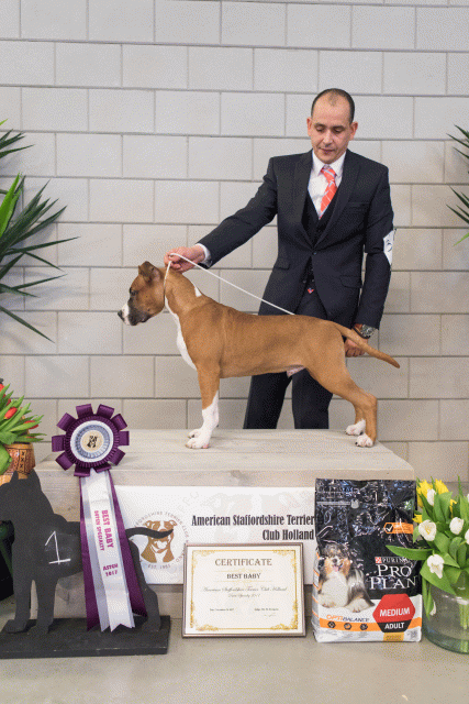 36A6359 26954751479 O