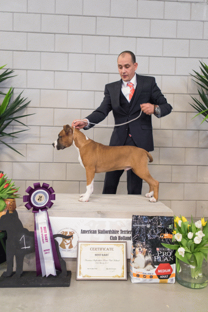 36A6358 37843040615 O