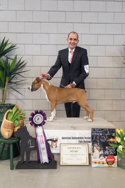 36A6356 37843042195 O