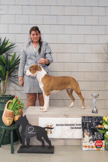 36A6361 26954750689 O