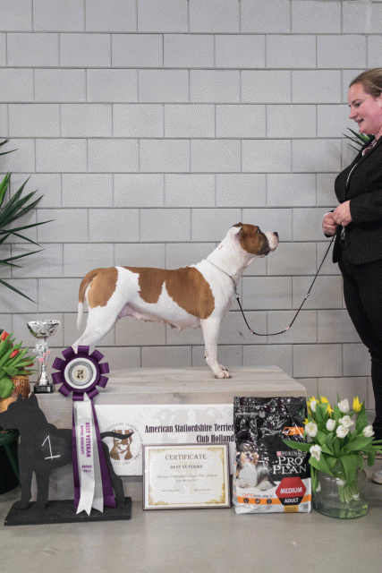 36A6368 23865619337 O