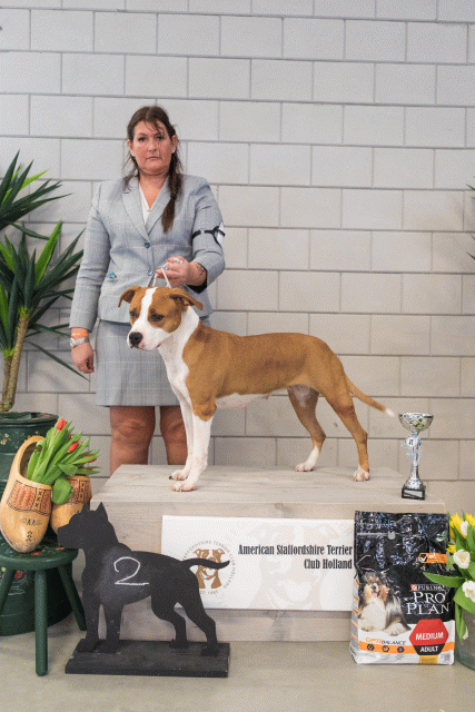 36A6362 23865620977 O