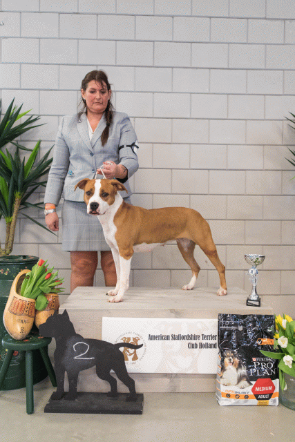 36A6363 26954748759 O